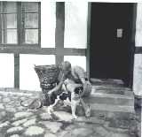 Klik for at se Tove klappe (nappe) en hund