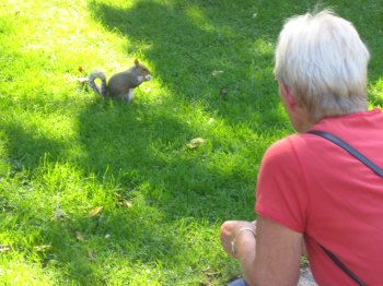Birgit leger med egern i Regents Park