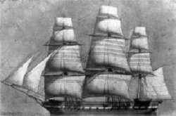 Galathea