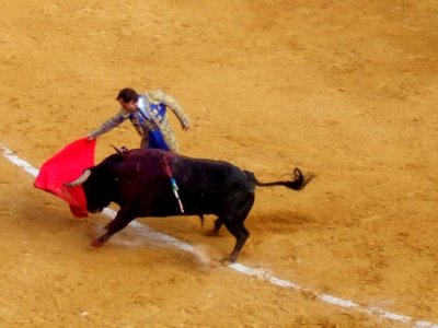 Matador på arbejde